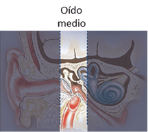 Audicion_deteccion_temprana_de_los_problemas_oidomedio