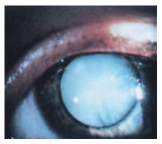 captura-de-pantalla-2016-10-10-a-las-5-00-36-p-m