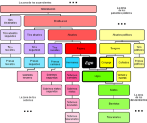 ¿Cómo mido la línea colateral?
