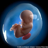 alteraciones_en_el_liquido