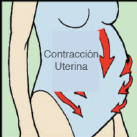 contraBH01