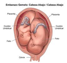 Durante la labor de parto