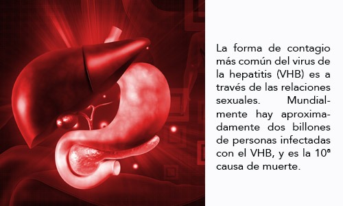 La Hepatitis “B” como Enfermedad de Transmisión Sexual