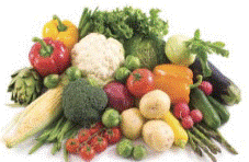 Cantidad y calidad de la dieta 