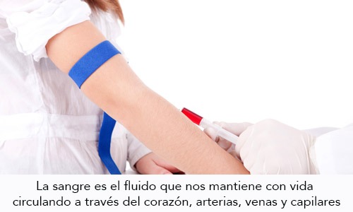 Anemia en el Embarazo