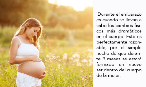 Los Cambios en cuerpo y piel en el Segundo Trimestre
