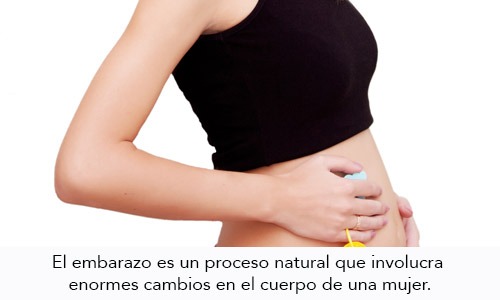 Cambios Corporales durante el Primer Trimestre