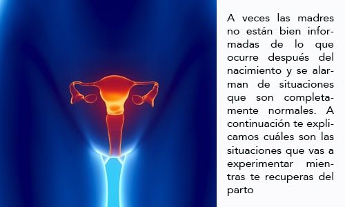 Entuertos o Contracciones Uterinas Postparto