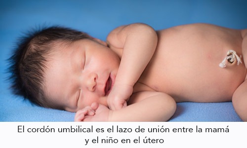 Caída del Cordón Umbilical