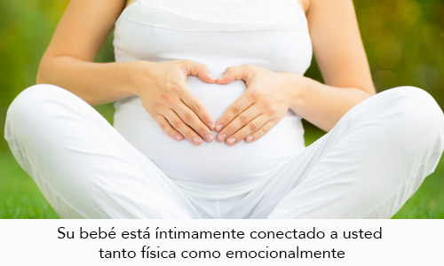 Ejercicio durante el Segundo Trimestre