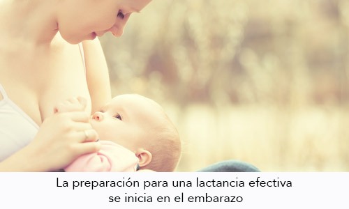 Preparación de los senos para la lactancia