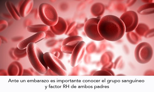 Incompatibilidad de Rh Enfermedad de la sangre en mujeres con Rh negativo