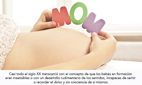 Sensibilidad y comunicación feto materna